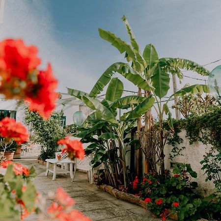 Villa Agriturismo Il Sorriso Degli Ulivi - Dimora Di Charme Gallipoli Exterior foto