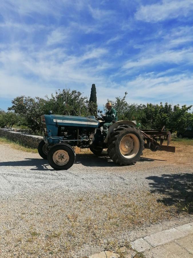 Villa Agriturismo Il Sorriso Degli Ulivi - Dimora Di Charme Gallipoli Exterior foto