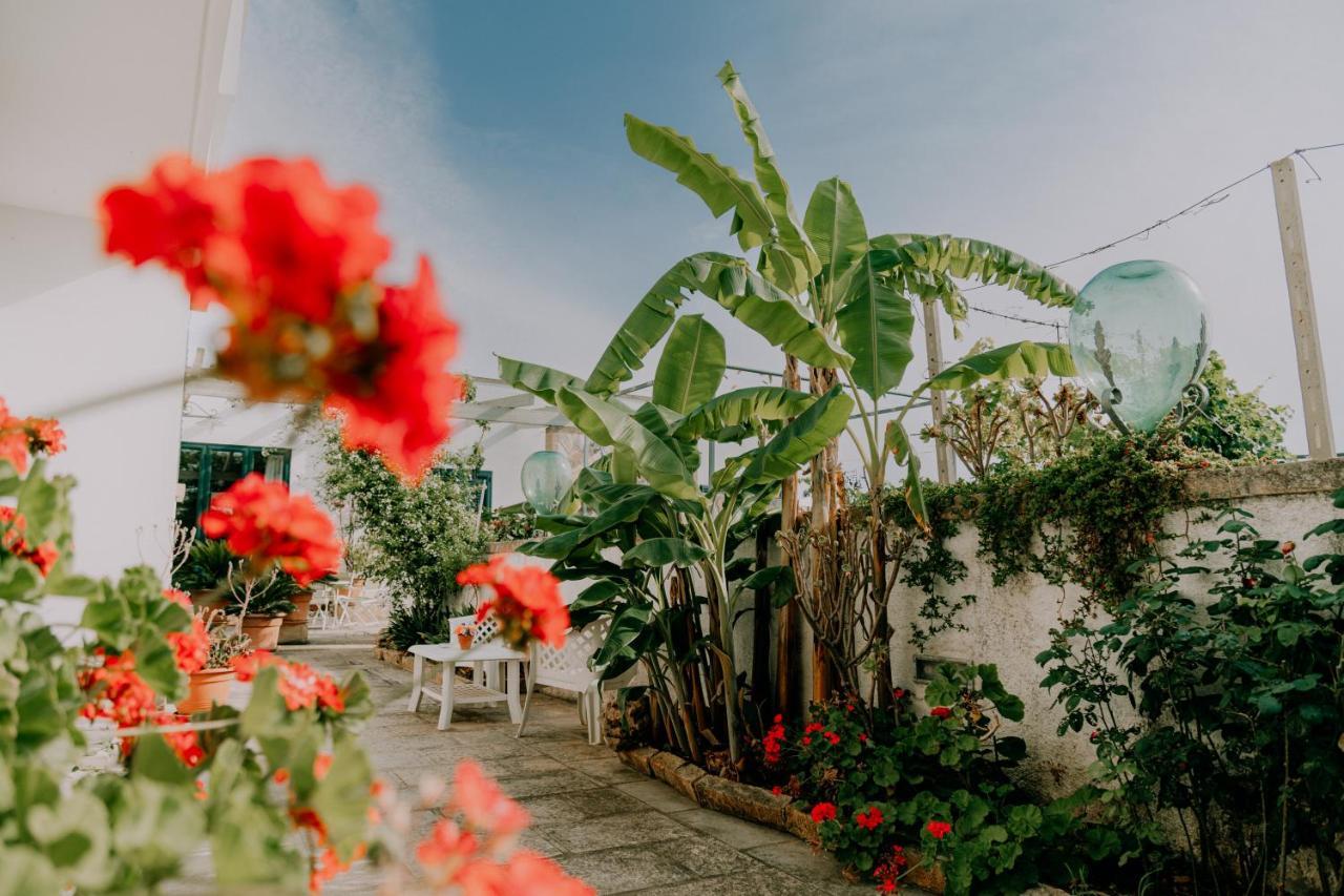 Villa Agriturismo Il Sorriso Degli Ulivi - Dimora Di Charme Gallipoli Exterior foto