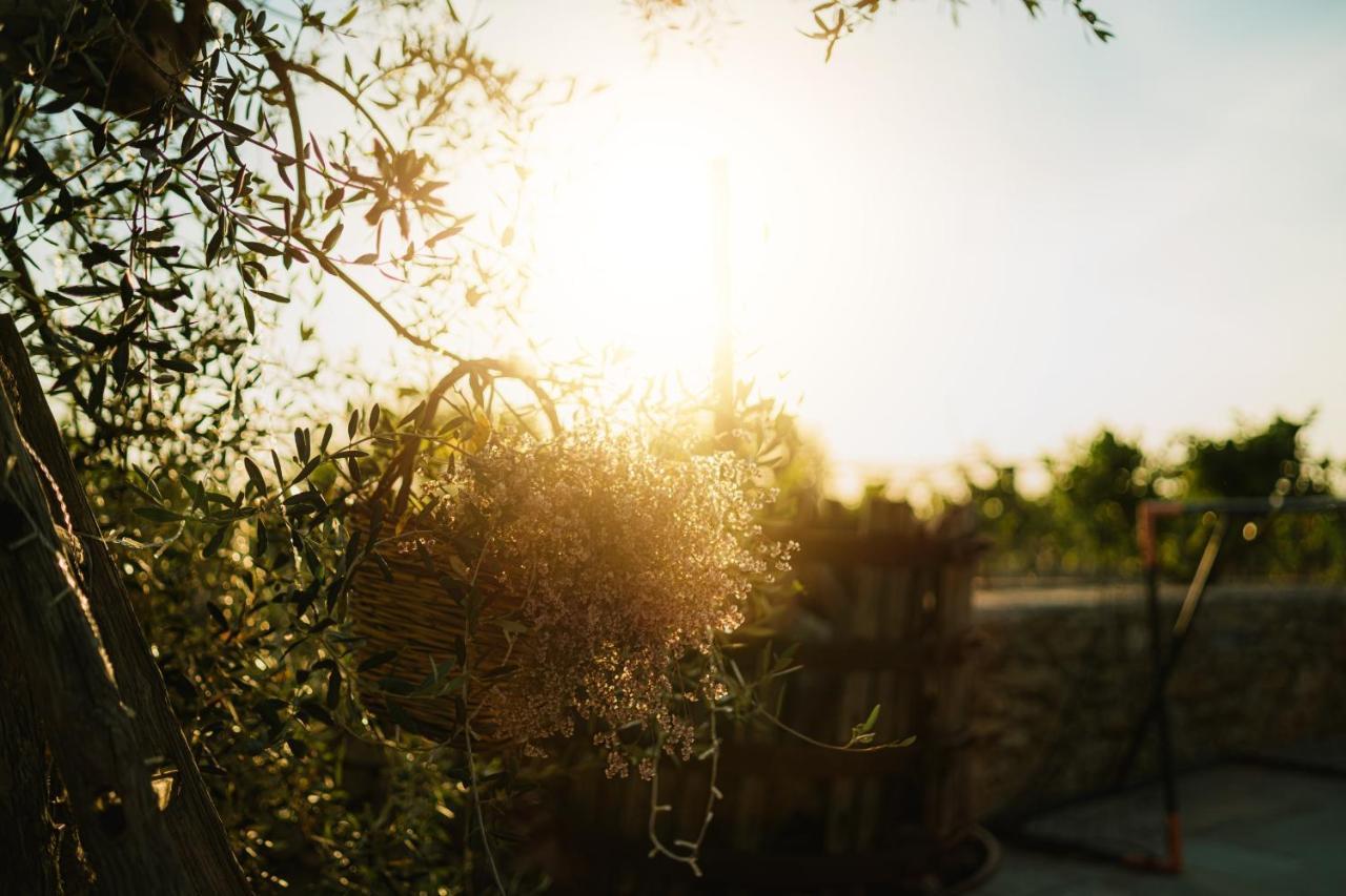 Villa Agriturismo Il Sorriso Degli Ulivi - Dimora Di Charme Gallipoli Exterior foto